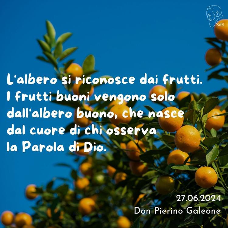 27.06.24
L'albero si riconosce dai frutti. I frutti buoni vengono solo dall'albero buono, che nasce dal cuore di chi osserva la Parola di Dio.

Don Pierino Galeone