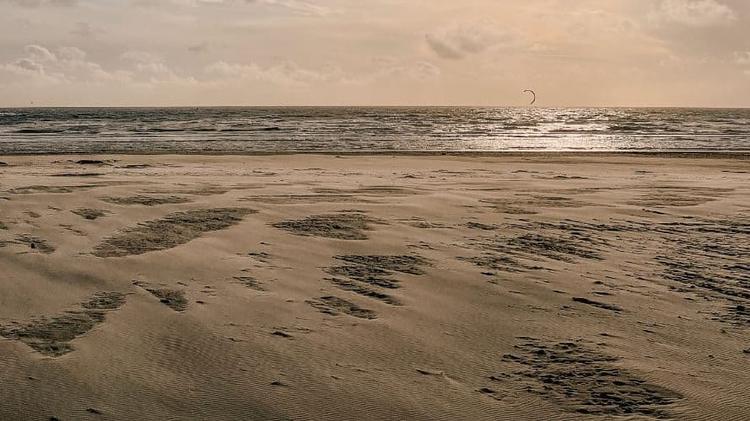 Pyrénées-Orientales : la baignade interdite sur une plage de cette commune