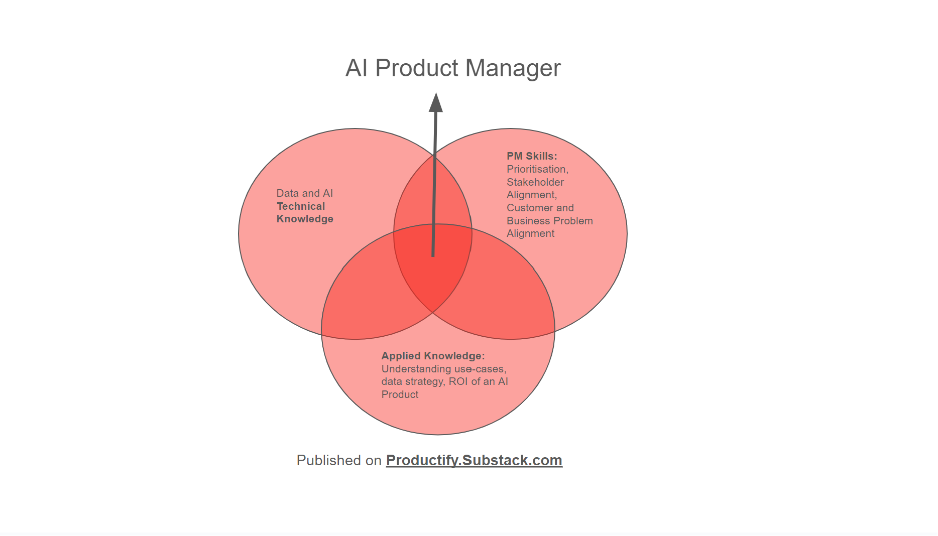 How to become an AI Product Manager?
