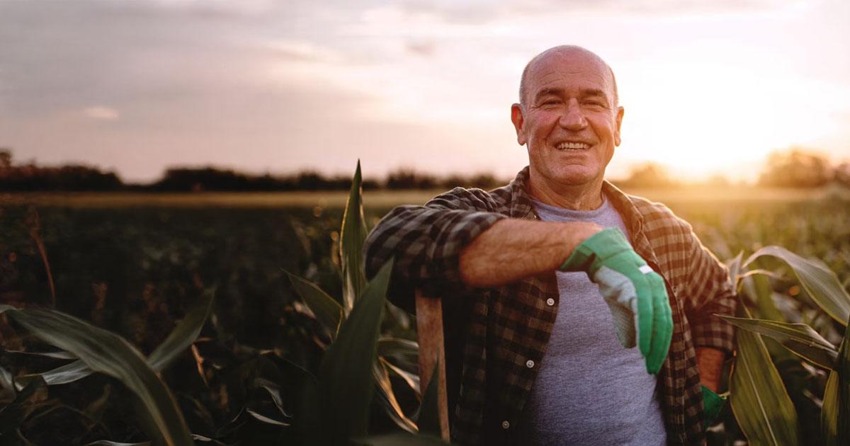 Agro alcança 25% do PIB e reforça papel do trabalho rural