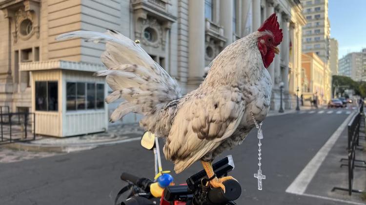 Galo garnisé participa de procissão de Corpus Christi com terço no pescoço em cima de bicicleta no RS