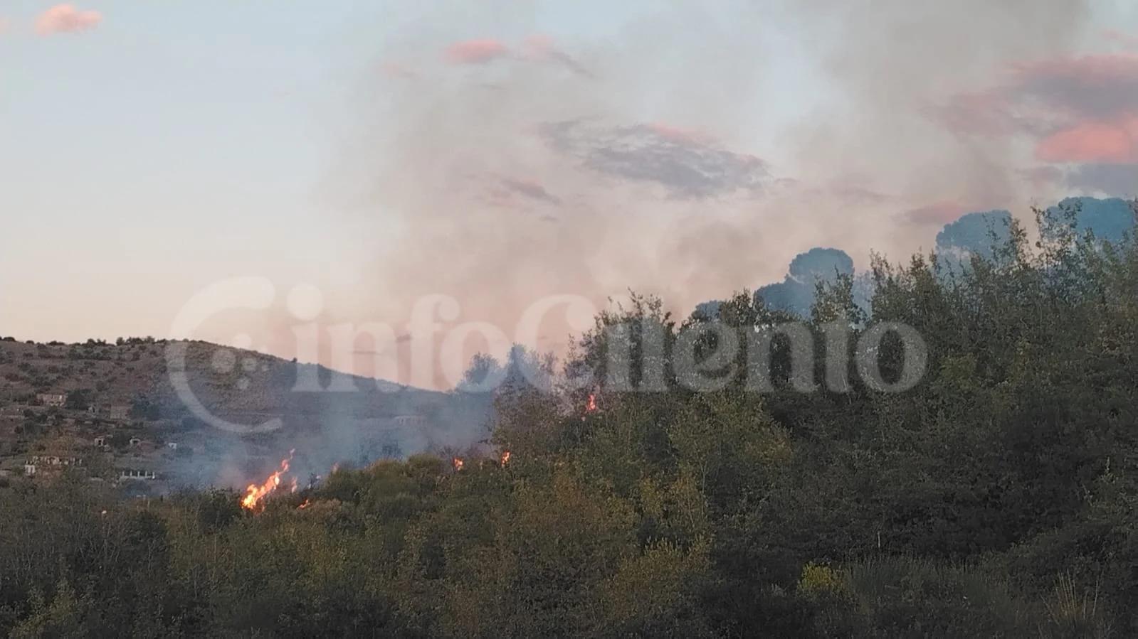 Incendio a Moio Alto ad Agropoli: fiamme vicine alle case