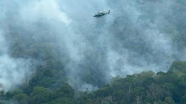 Queimadas no AM: governo federal diz ter ajudado a extinguir 338 incêndios; focos de calor caem