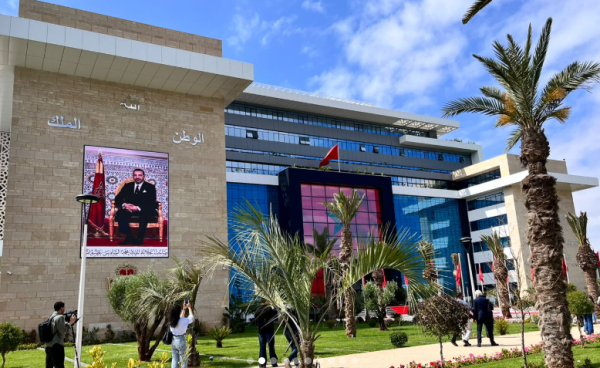 مسودة تلقائية