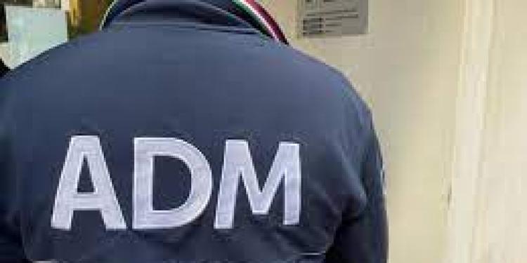 Rischio per parassiti e malattie infettive: oltre 1500 chili di cibo sequestrati alla dogana di Palermo