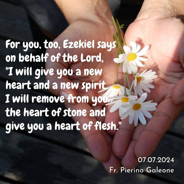 07.07.24
For you, too, Ezekiel says on behalf of the Lord, "I will give you a new heart and a new spirit. I will remove from you the heart of stone and give you a heart of flesh."

Fr. Pierino Galeone