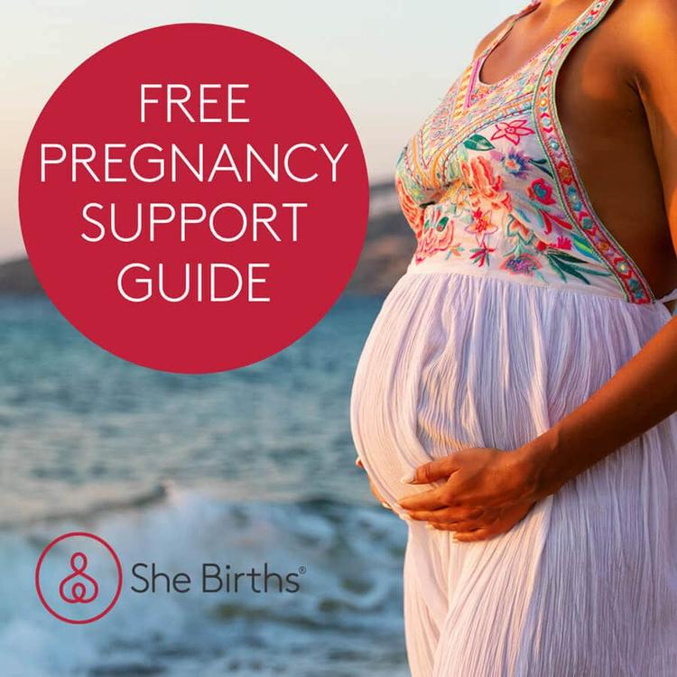 Free Pregnancy Support Guide