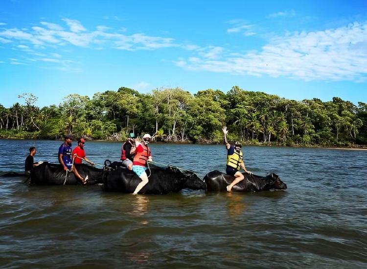 Praias, manguezais e passeios com búfalos: conheça o ecoturismo de Soure, cenário de 'No Limite' e novela da Globo