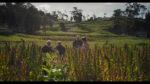 Filmmaker Hidde Boersma: Why High-Yield Innovation Belongs at the Centre of Sustainability