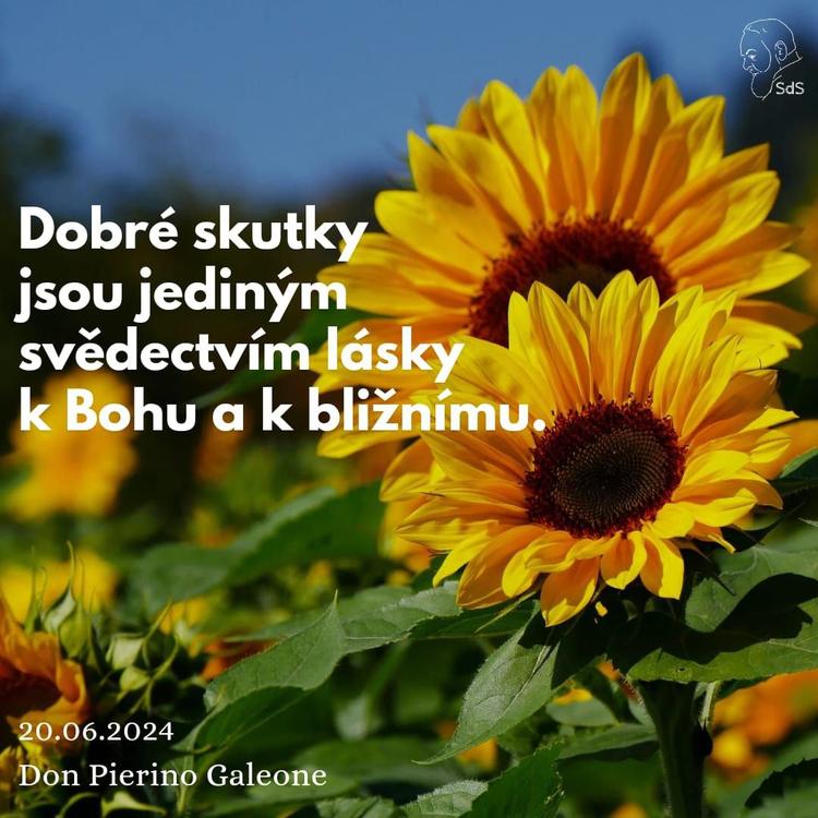 20.6.2024
Dobré skutky jsou jediným svědectvím lásky k Bohu a k bližnímu.

Don Pierino Galeone