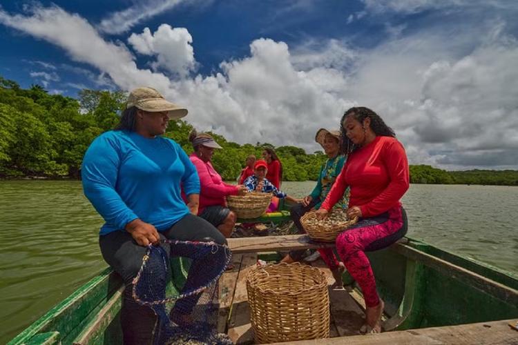 Santarém lidera ranking nacional de vulnerabilidade na pesca artesanal