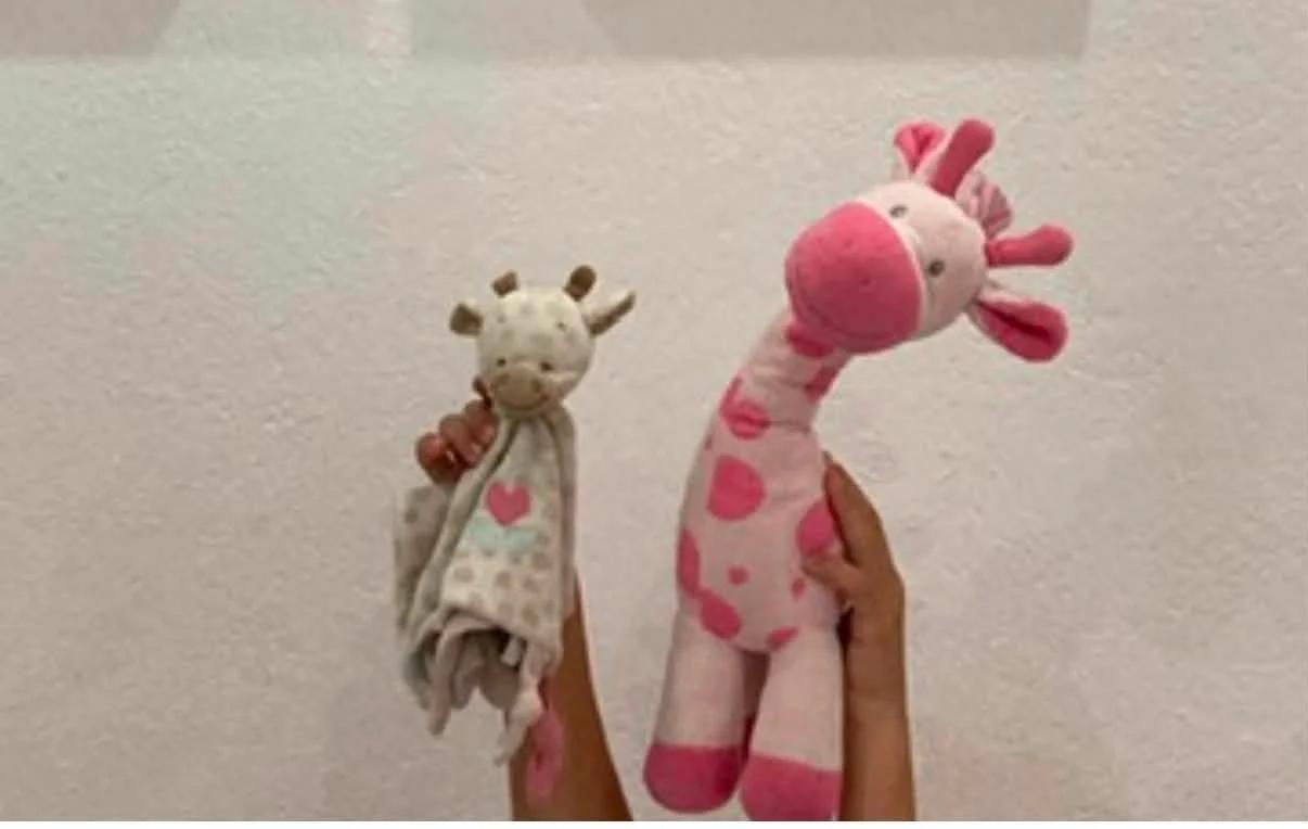Capaccio Paestum, non si ferma l’allarme furti: svaligiata l’auto di una famiglia di turisti, appello per i peluche delle bambine
