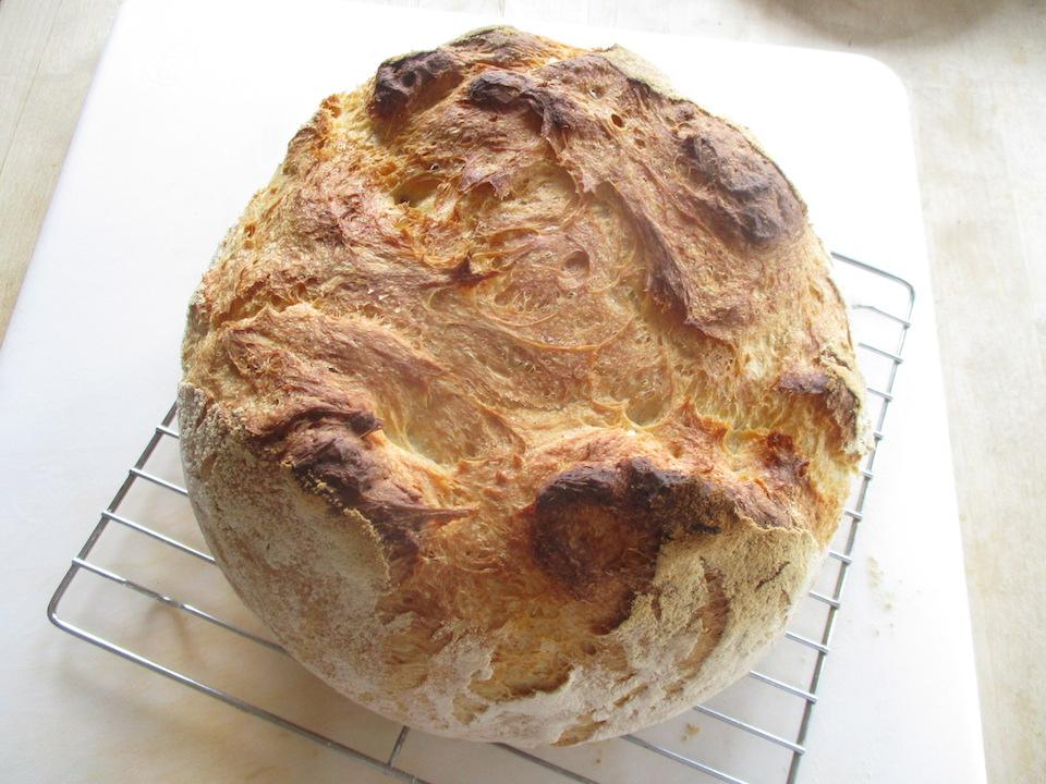 Adventures in the Art of Bread Making