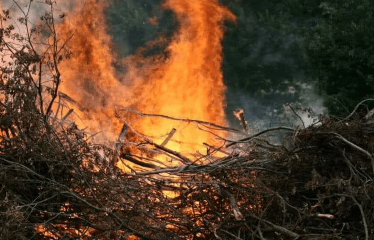Milazzo, rischio incendi: i proprietari dei terreni dovranno pulire i terreni dalle sterpaglie