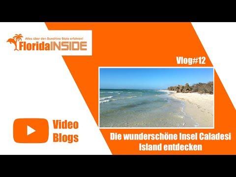 Die wunderschöne Insel Caladesi Island entdecken  - Florida Inside Vlog#012