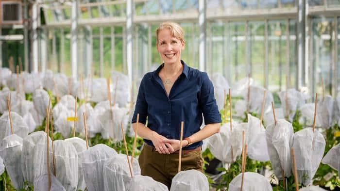 Plant Hormones Reveal Crop Disease Resistance Pathway