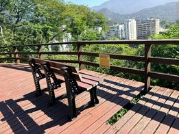 Frequentadores reclamam da sujeira, abandono e falta de poda de árvores no Parque Dois Irmãos, no Leblon