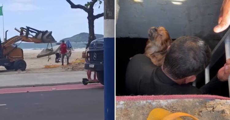 Após cachorro cair em galeria, Prefeitura reforça segurança em obra de macrodrenagem na Praia Central de BC