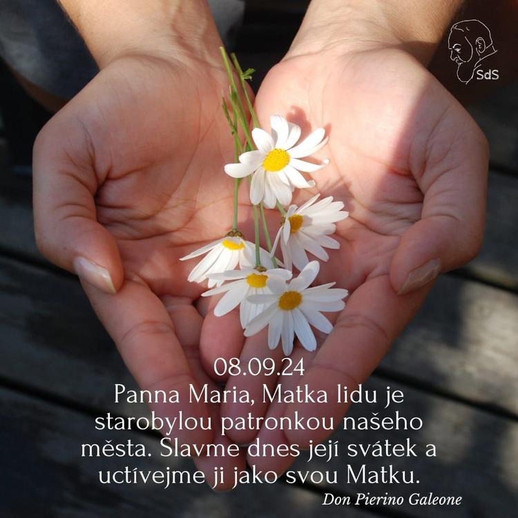 8.9.2024
Panna Maria, Matka lidu je starobylou patronkou našeho města. Slavme dnes její svátek a uctívejme ji jako svou Matku.

Don Pierino Galeone