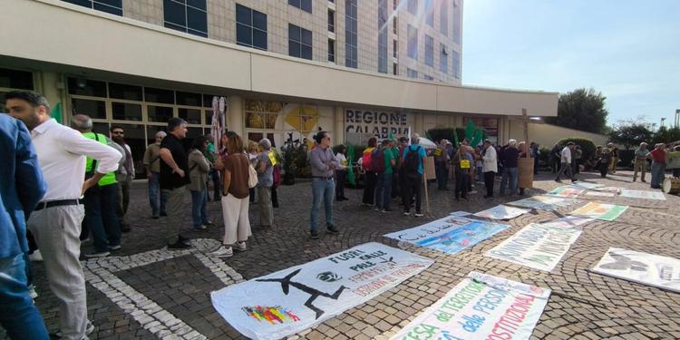 "Rinnovabili sì ma non così": protesta oggi alla Cittadella contro l'assalto eolico nel cuore delle Serre FOTO