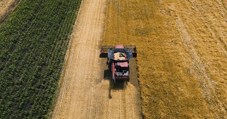 Plano Safra de R$ 610 bilhões reduz crédito para custeio e deixa seguro rural sem solução, alertam cooperativas