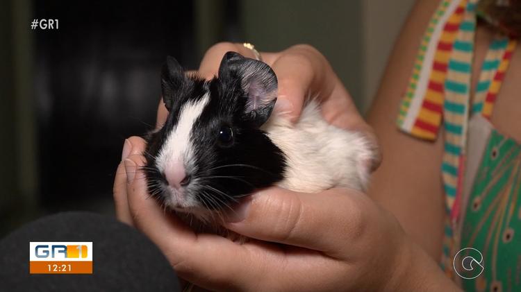 VÍDEOS: GR1 de sábado, 25 de abril de 2026