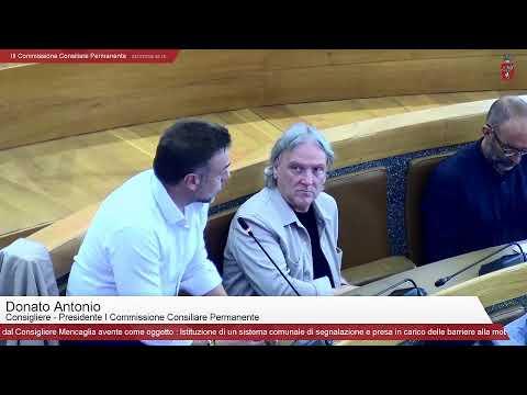 III Commissione Consiliare Permanente
