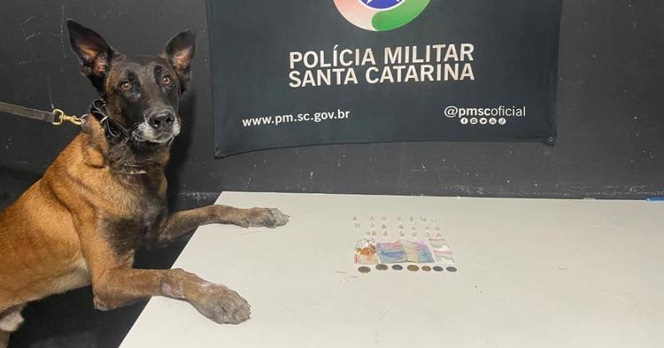 Vídeo: cão da PM encontra torrão de crack escondido no muro em ponto de tráfico em Itajaí