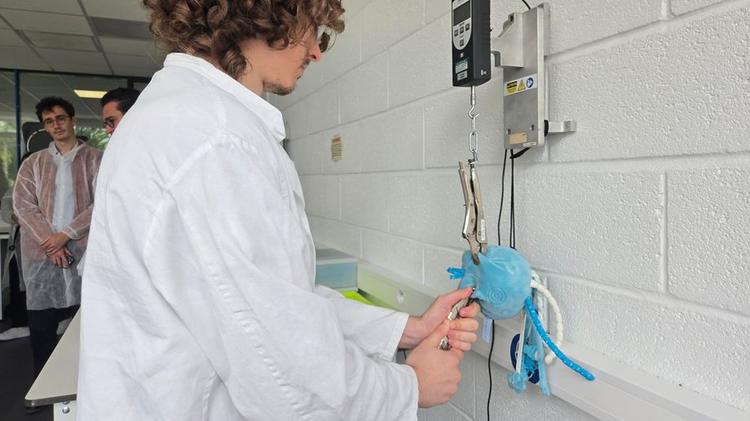 A Marcq-en-Barœul le laboratoire de Bureau Veritas torture les jouets