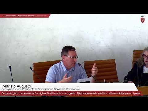 III Commissione Consiliare Permanente