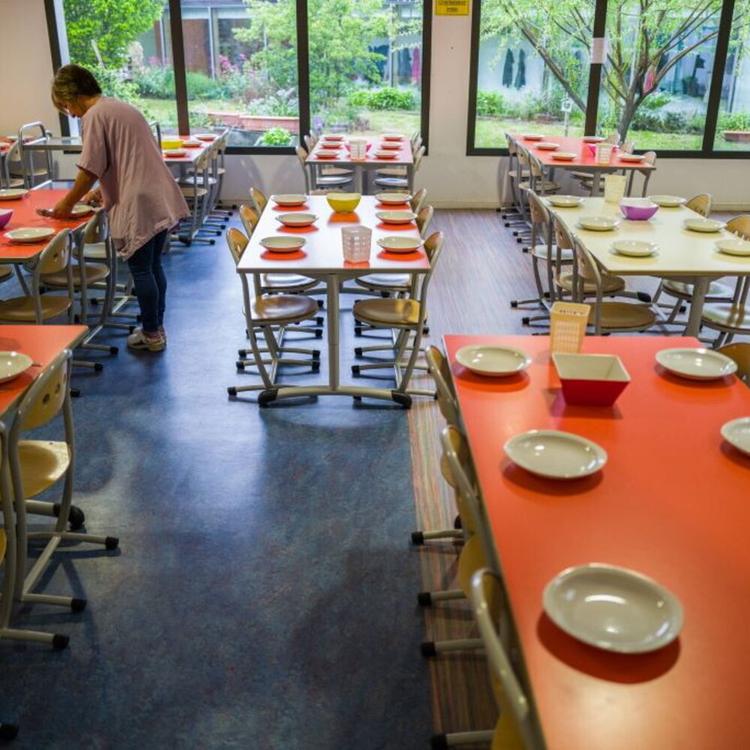 Mense scolastiche a Pordenone: addio maiale, sì pollo al curry. Il sindaco "Scelte nutrizi...