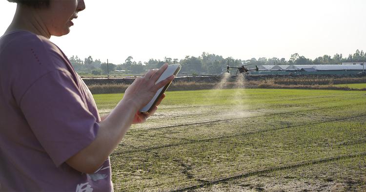 Avanços científicos ajudam a gerir riscos na agricultura brasileira