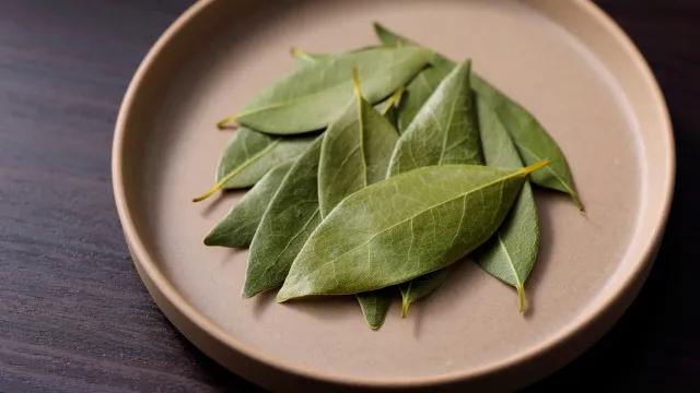8 formas surpreendentes de usar folhas de louro fora da cozinha