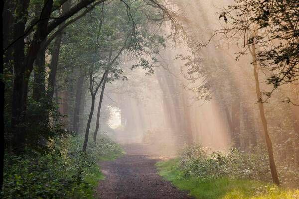 Brabants Landschap krijgt financiering voor herstel natuurgebied Pannenhoef