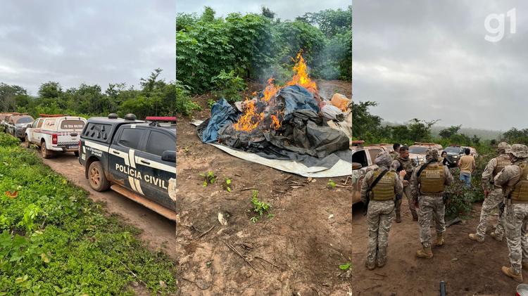 Pernambucanos suspeitos de plantar maconha em aldeia indígena no MA morrem em confronto com a polícia