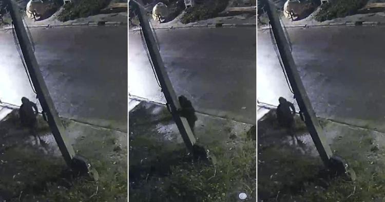 Vídeo: furtos de fiação se repetem e preocupam moradores no Loteamento Jardim Europa, em Camboriú