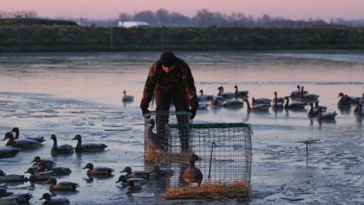Occitanie : chasse aux "appelants", une pratique légale qui indigne et interroge