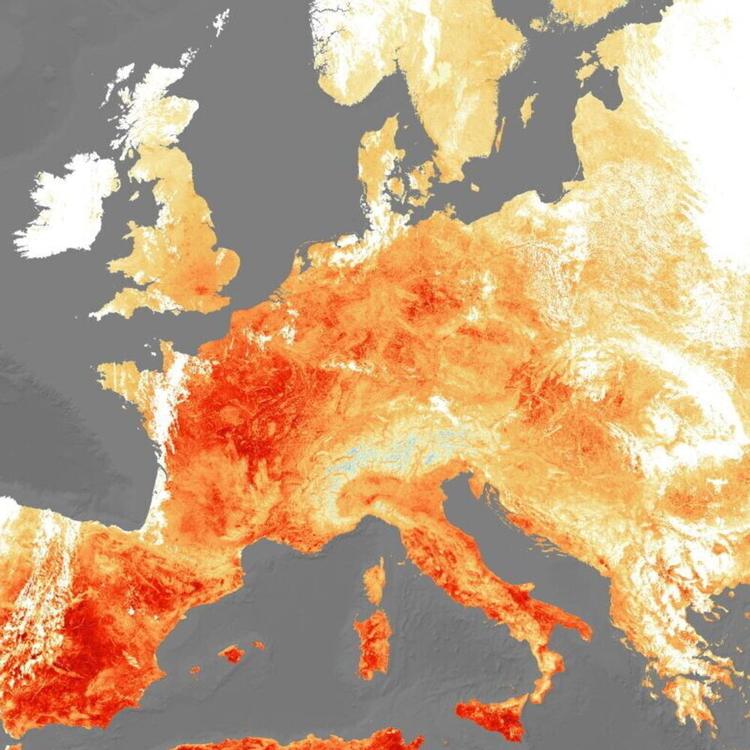 Arriva la prima ondata di caldo: la guida tra alimentazione, farmaci ed errori da evitare