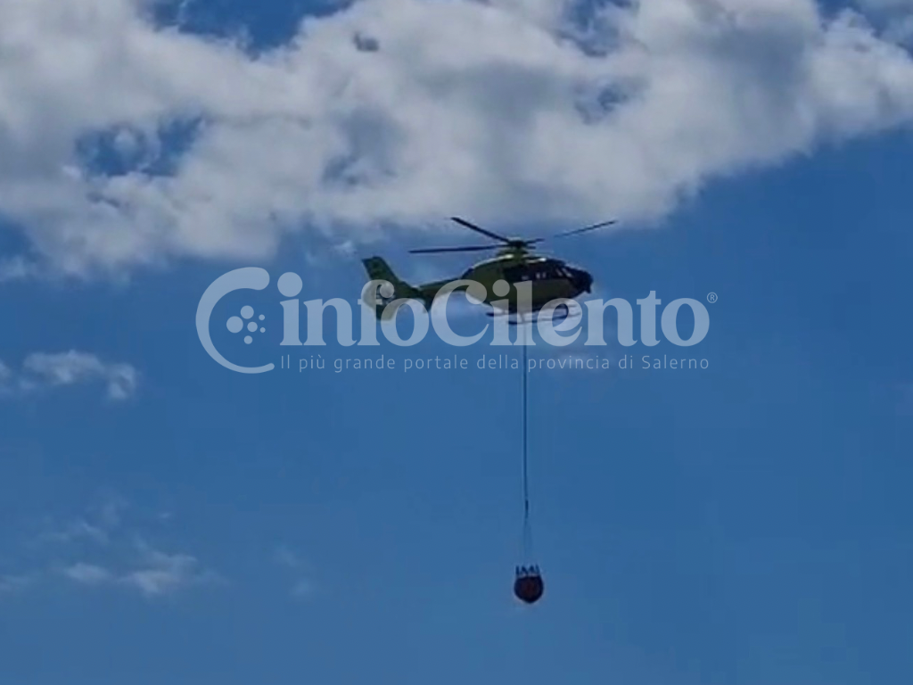 Emergenza incendi nel Basso Cilento: fiamme a Camerota, Roccagloriosa e Centola. In fumo 15 ettari