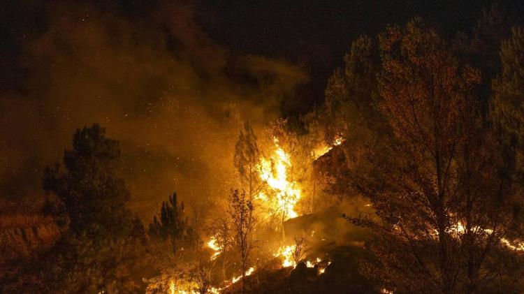 Cavo elettrico cade a terra e prende fuoco un bosco: almeno 11 morti in Andalusia. Il cordoglio di Meloni: "Italia accanto al vostro popolo"
