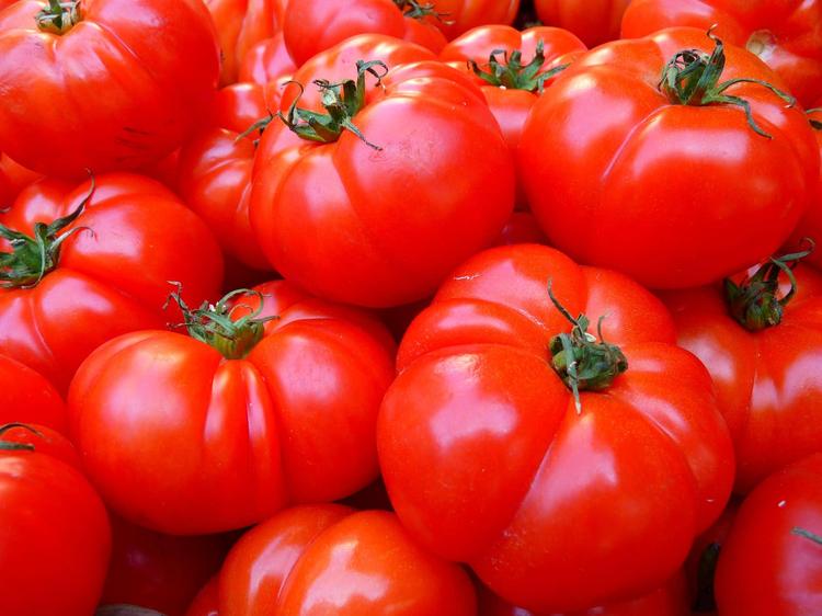 Tel Aviv University Researchers Harness CRISPR Technology for Water-Efficient Tomato Cultivation