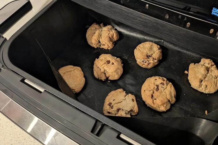 Moulinex Everfry Flex Dual (3)
