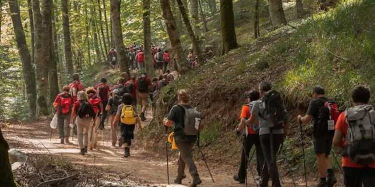 La Regione Calabria non s’oppone: via libera al Parco eolico nel cuore delle Serre