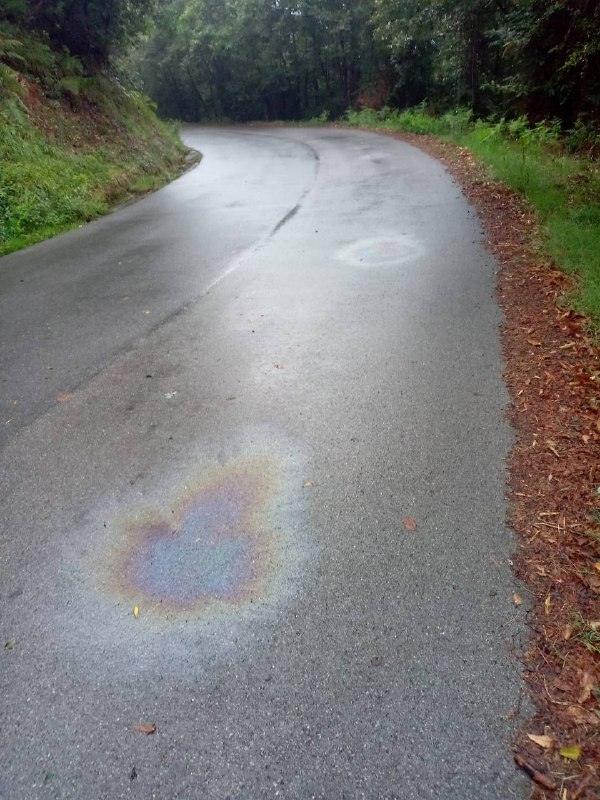 ATTENZIONE, si sta facendo sopralluogo sulla STRADA per Polverara a seguito di copiose perdite di gasolio. Adottare guid...
