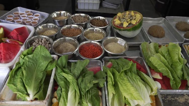 135 quilos de hortifrútis, carne e ração por dia: veja cuidados com a alimentação dos animais de Parque Ecológico no interior de SP