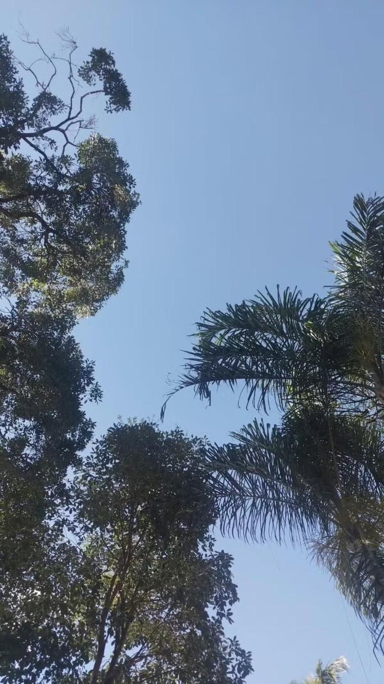 Sol e chuvas isoladas marcam a semana em Divinópolis e região