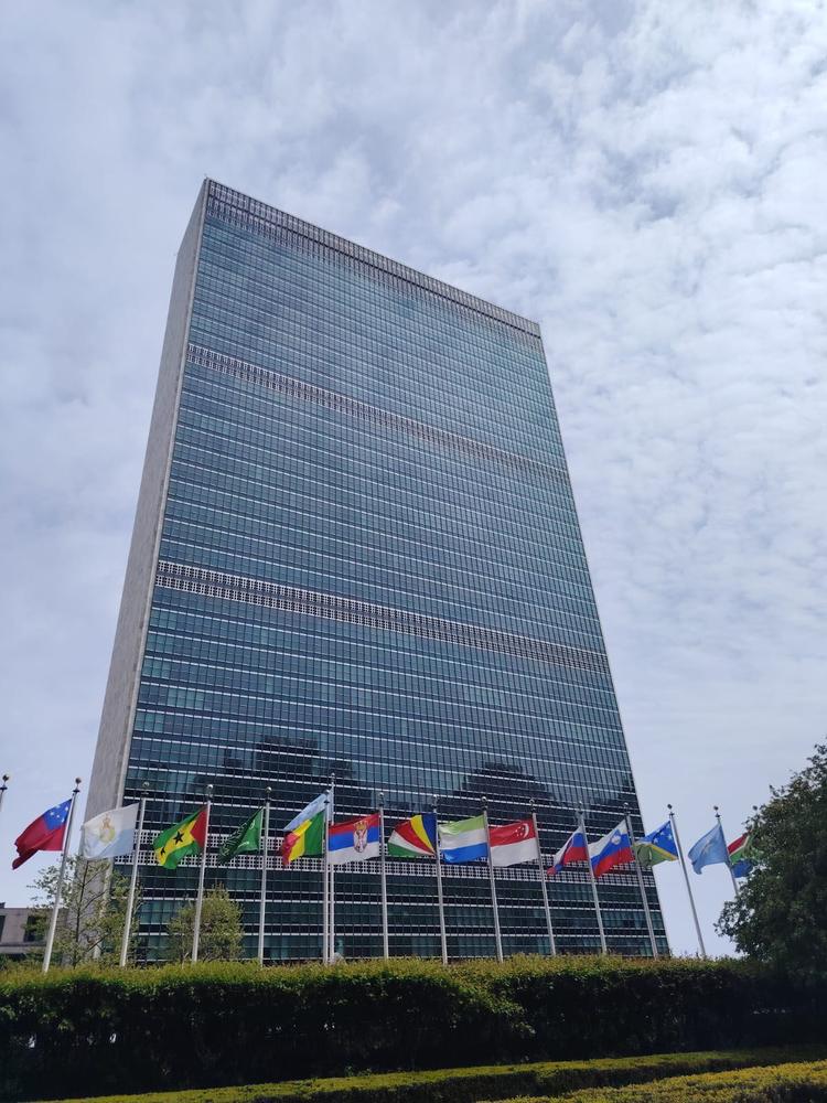 Partecipazione della CRI alla Conferenza di Riesame del Trattato di non proliferazione delle armi nucleari