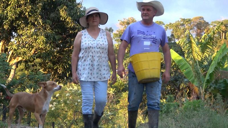 Meet the Only Greek Coffee Grower in Colombia