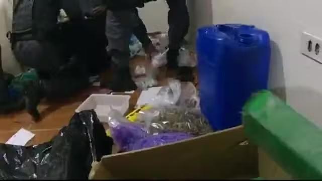 Câmeras corporais mostram PMs comemorando descoberta de drogas antes de material desaparecer