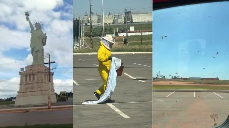 Três pessoas são atacadas por abelhas durante retirada de colmeia em estátua da Havan em MT